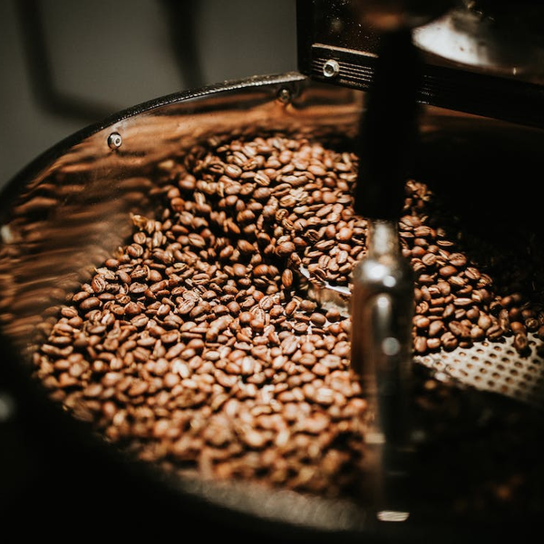 Coffee roasting progression